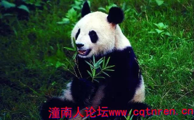dc72c583e23df6e850fe7f6f96e76b7d.jpg