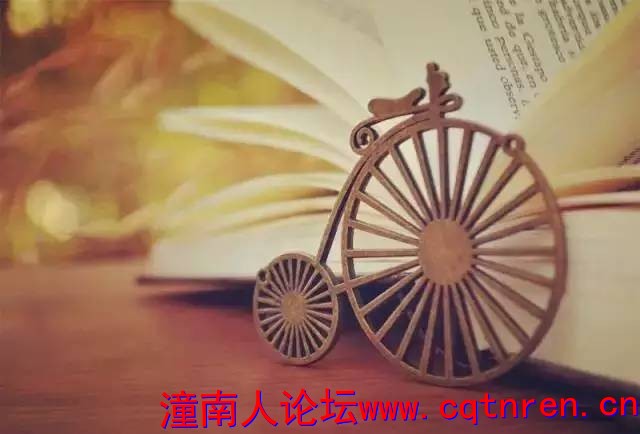 dff701e5aa1d72bc65bbe7e386f3da48.jpg