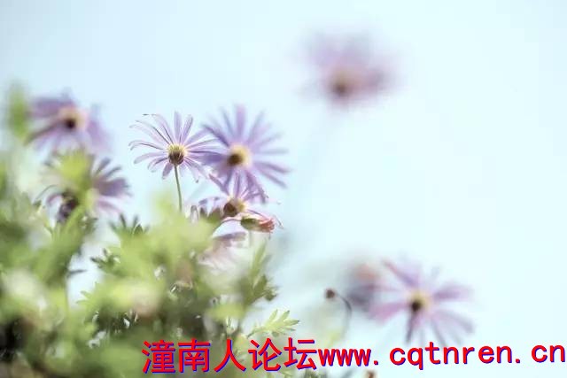 b88815fecedba0fefb7c2bef2f2b261a.jpg