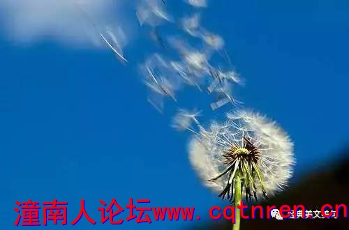 5436e34509e5abeb6c355cf88f95f728.jpg