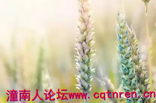 4e9db4663a12f59e3b400d89bb250686.jpg