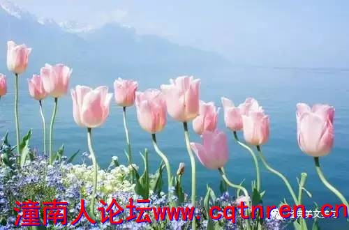 40f6f2ce95ff60ef595e046cc4f71c24.jpg