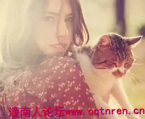 fc858dcb640f3b4ee5fc3d8e2dee7e74.jpg