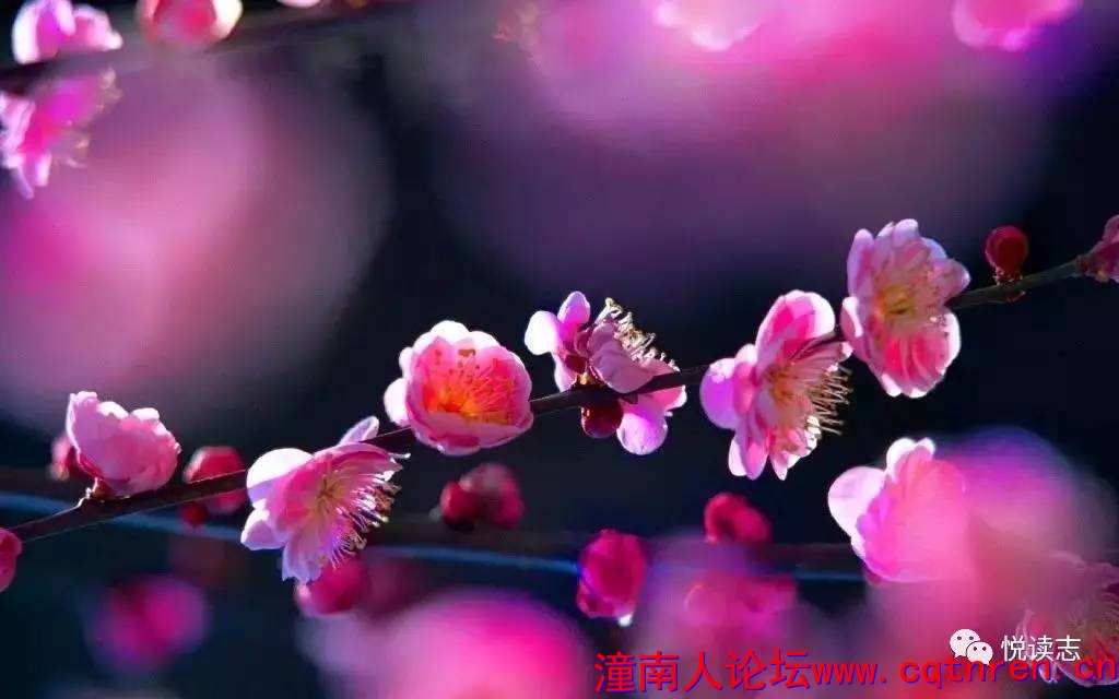 77c57f9346ac2d167b9526ffed776e1d.jpg