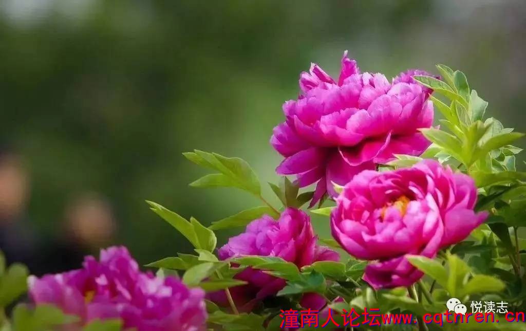 f179fd3163fe6221e4b038bdbdcbb910.jpg