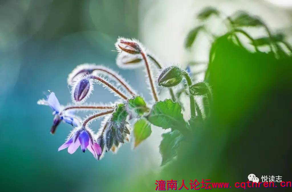 3e11e345727a3c4e8caa40cb51b2bb29.jpg