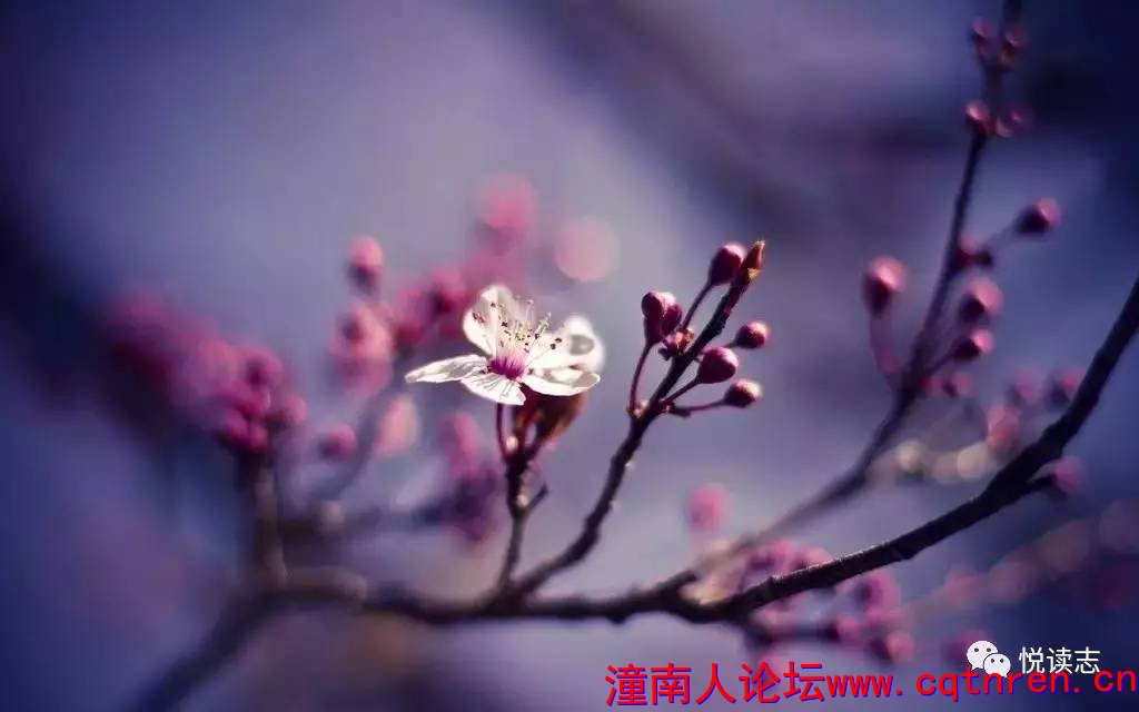 1bbdaf7b557e8ce3ca095edcfa60f56c.jpg