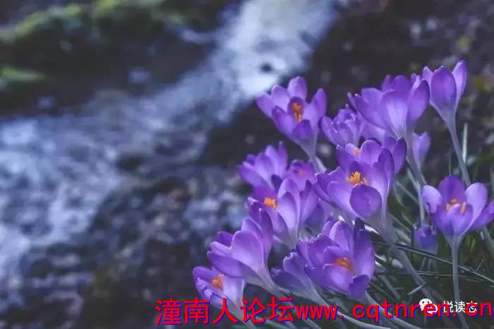 e244372b41c4e214f2cd5f33c29ea0b5.jpg