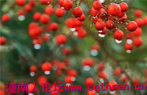 e9e87dc8e120734efb88a421e46b5caa.jpg