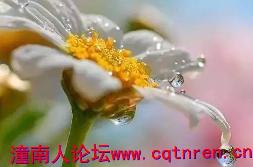 7298a71bb314fe5d452fd73d60b2c249.jpg