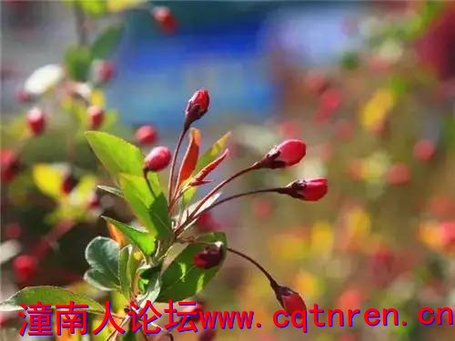 140adbe8d38340c42e6d4aa34dbe173a.jpg
