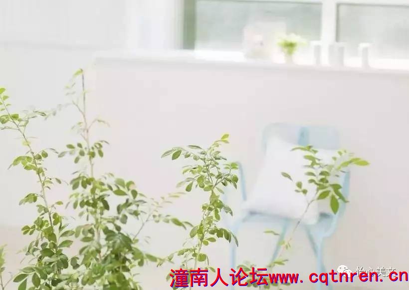 df157796ec6b94d5fb097dff8ce5e80a.jpg