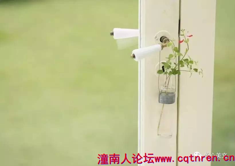 25fab10209ff44eefc4112f3fc65f8d4.jpg