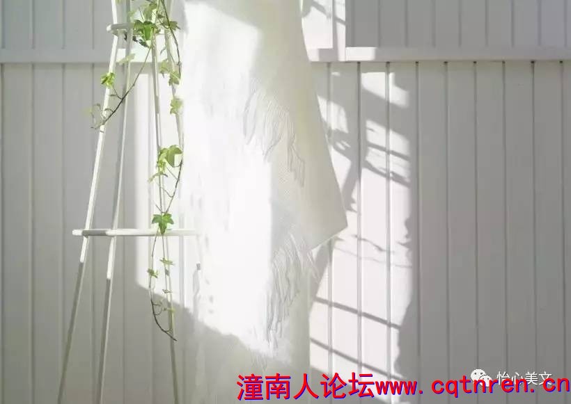 9d5c9257d0a4c84ccfddfcabf76ffe09.jpg