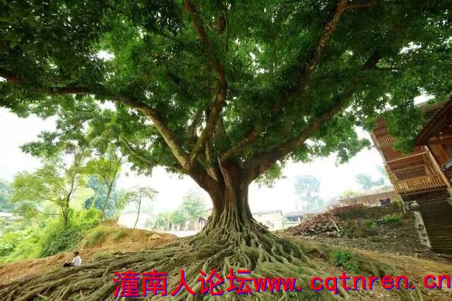9b106d74597bf74cf2b498a43127e555.jpg