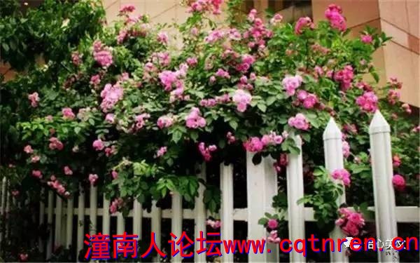 76f9157c2857467b09fff0fdaec3b714.jpg