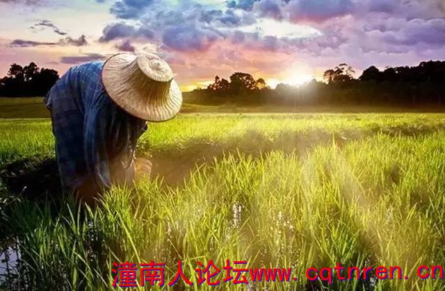 42d9a9c99fb18b6021df26a92d144efe.jpg
