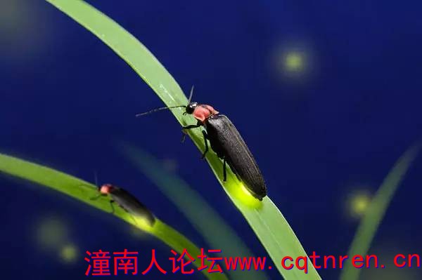 f56e7db98d1889067dfd1acab718e82a.jpg