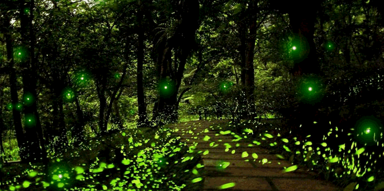 4bdbfa949ac1b4b51fd588e280674943.gif