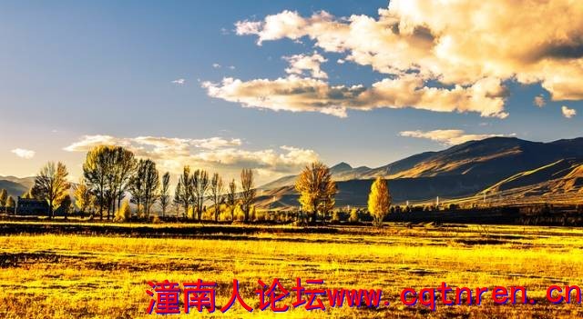 d7c45b9101631859cff80b4399bee7f9.jpg