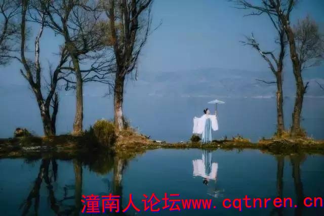 ff26c499ea36944fa4d26e02a2b9900e.jpg
