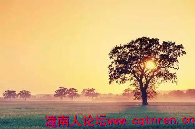 a4a92d6f9d8a908277dc70ea48672bd5.jpg
