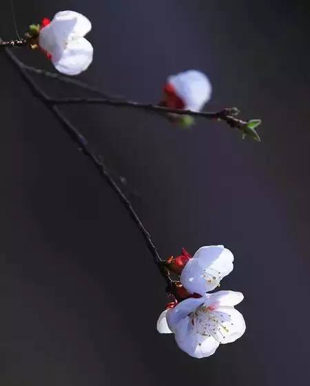 6dc27f5a3a6904d24c94d10dd8bdb93a.jpg