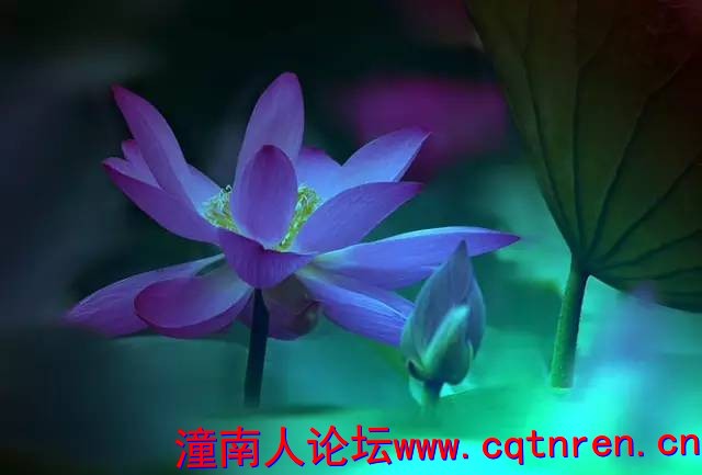 01b107b563720779509883458ac6b1f5.jpg