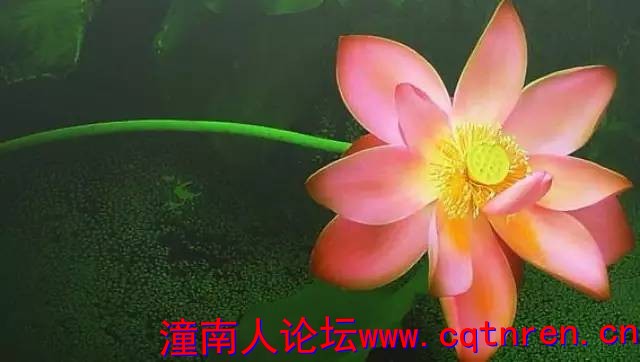 eee310e2f25885db3d5e19b36d545d08.jpg