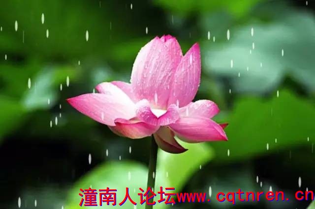 d223a6424e212917cdb423d0a72e540f.jpg