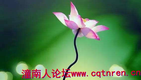 d181137dd242682e70a5883b1630db9f.jpg