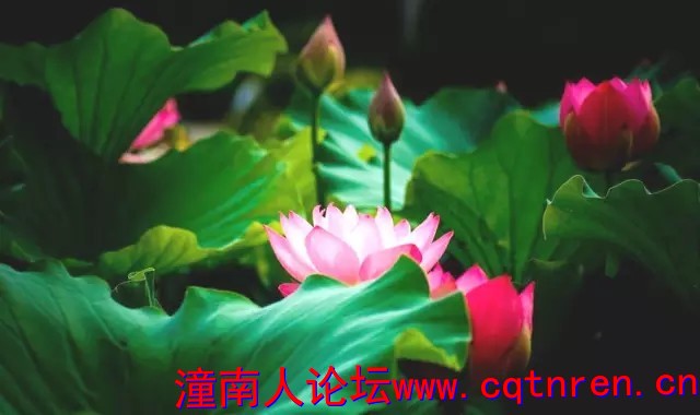 c4b620bfa10301bc5413889fc16ae572.jpg