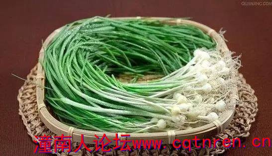 c37da2802fd8e890a566779c156dc8fa.jpg