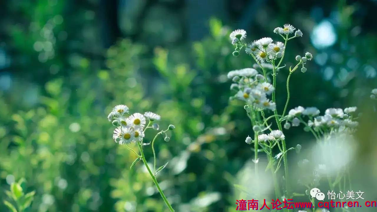 ab1b47c5b7a60524949791b47fdba149.jpg