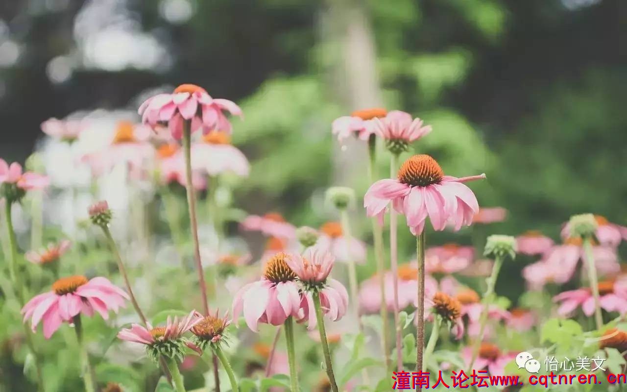 aa5776de30e3550b3edd645be665c6d3.jpg