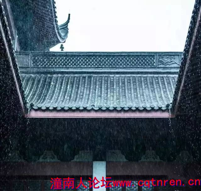 e8d90c3997f07a06d11340c6cd269ba6.jpg