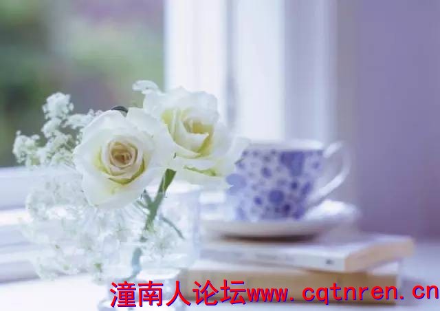 92aaf16a5fcbbb43a8089de2ba05317e.jpg