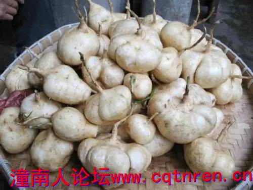 542f25c1bcce3a3d837cea0fc5e0872a.jpg