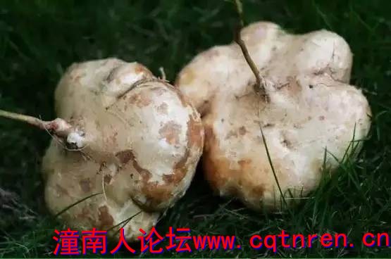 d0db65ac7312cbf17186a0027b6a6e16.jpg