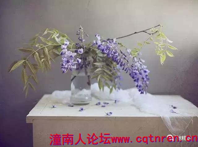 b242d1a852de12c8cc0bdc0ddc9b145d.jpg