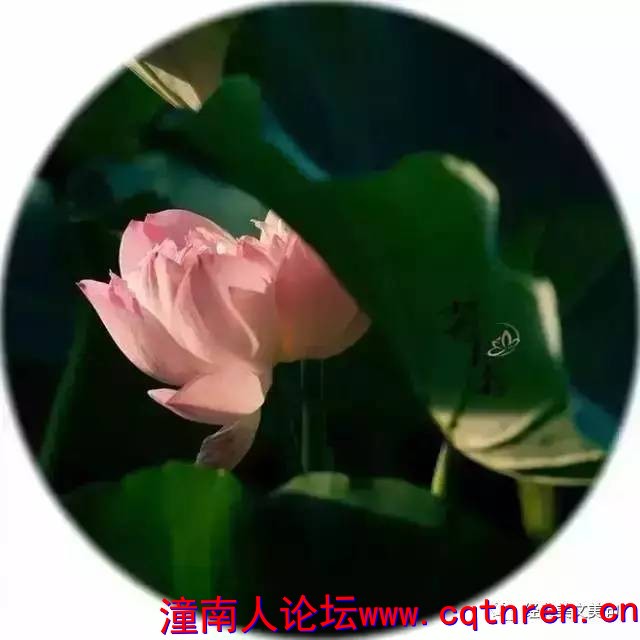 d7297df771256e3216f8d8cabada4dee.jpg