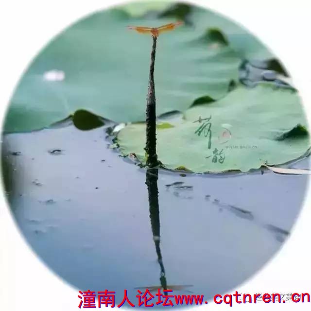 d137d771ee907e19c9cec3f2a06d5f4f.jpg