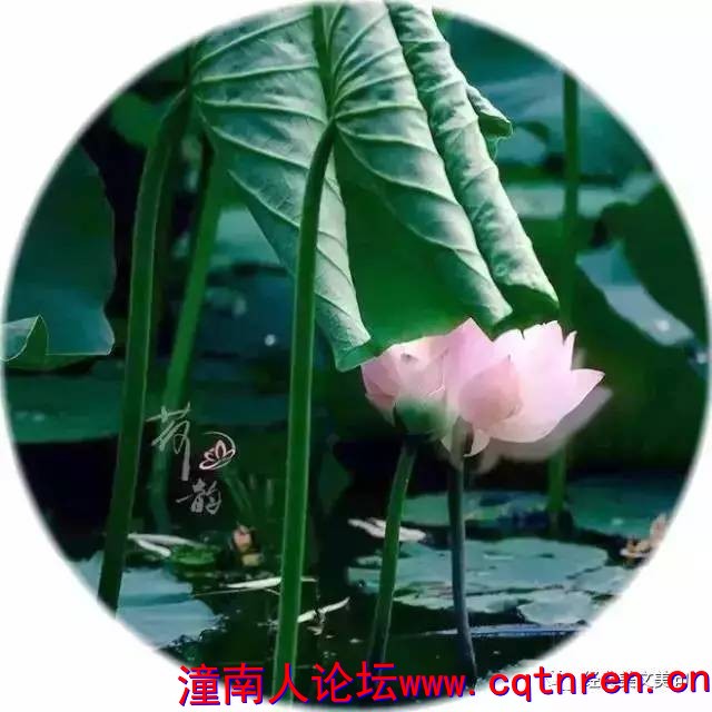 b3ef79e61db25dc7df26d5010b80cac5.jpg