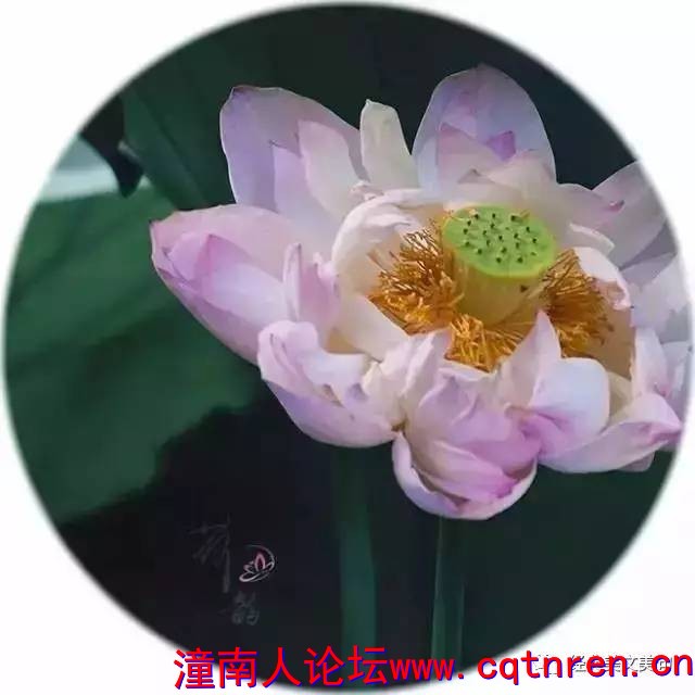 9d6be12e33a1724195332c8f35595479.jpg