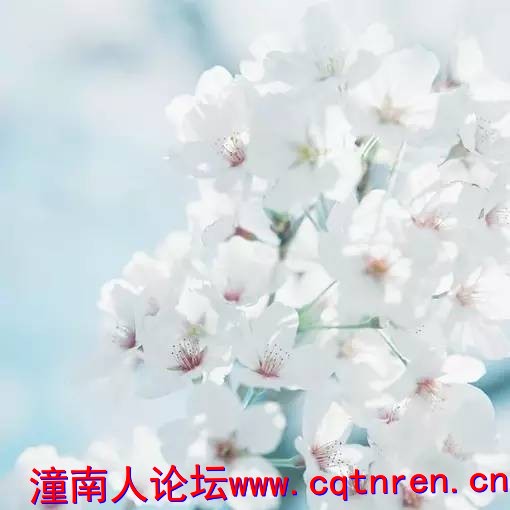 fa5fff2801fc9ffbd899de6fc856ecaf.jpg