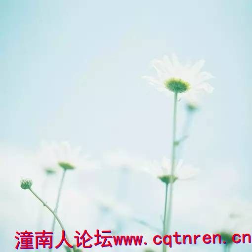 3fd072bebf5ba8cd2f6cce69bafa1b4f.jpg