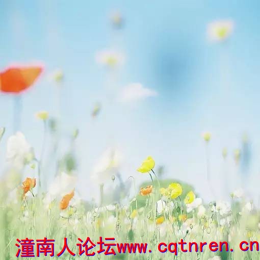 173e63ab8baa7bc752e80306e5daa777.jpg