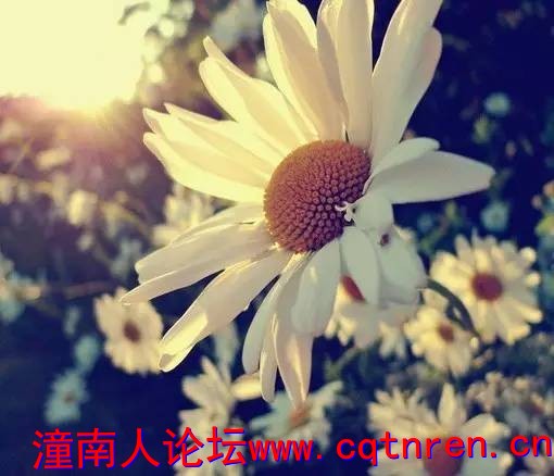 047035471d36955d2565f015debda2a1.jpg