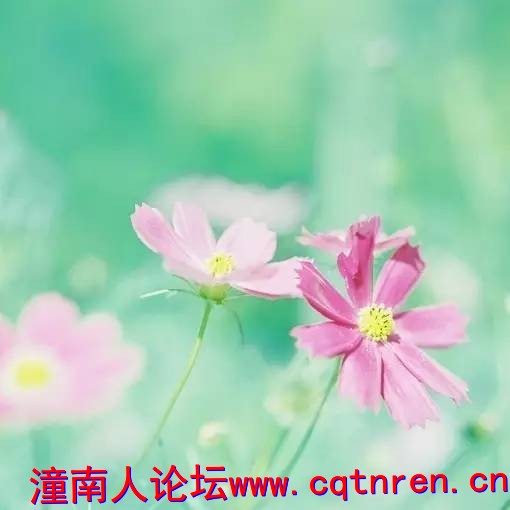 43928890caec44319e0cc98d7187c2e8.jpg