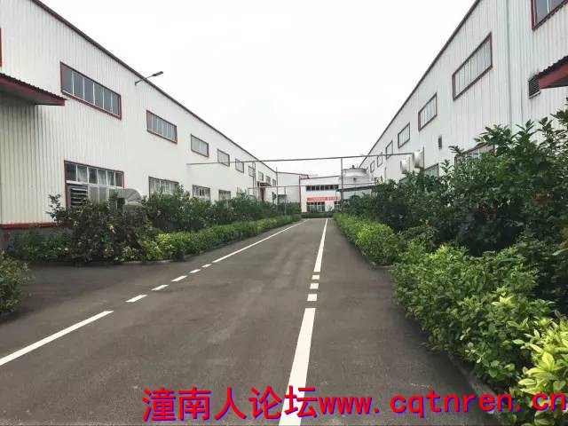 490e022ab6ae0458afc9052f091ff9e7.jpg